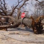 hurricanes and insurance coverage