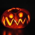 halloween liability insurance CT