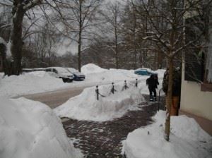 business insurance winter