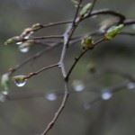 flood insurance new jersey