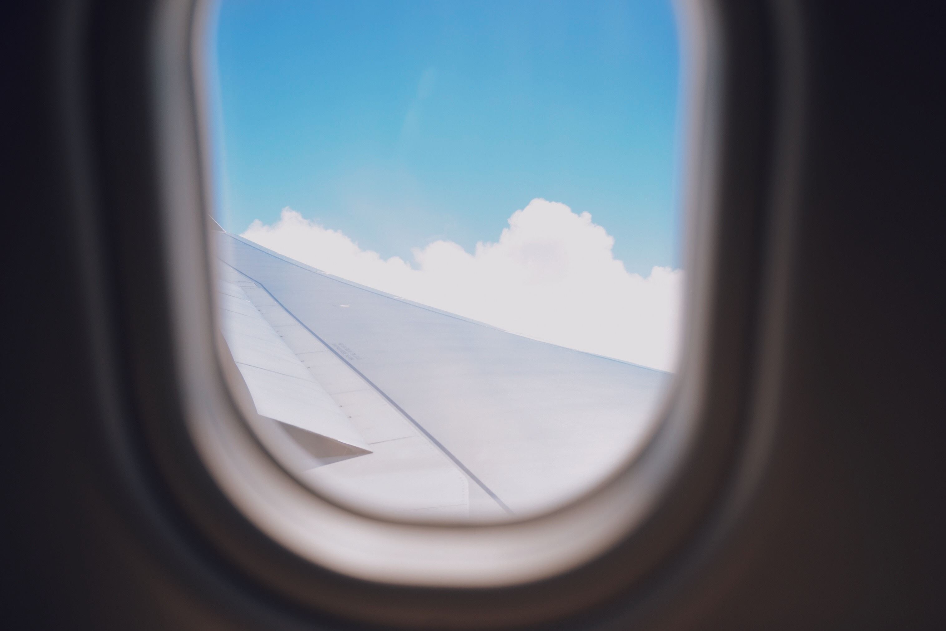 top insurance travel tips