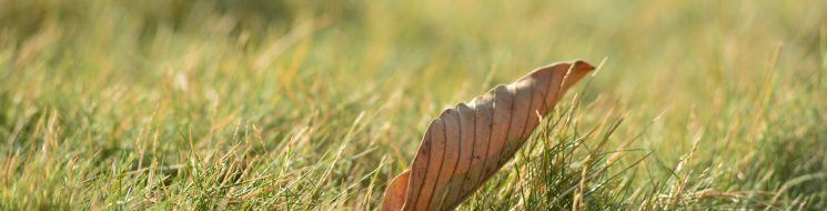 MA sinkhole insurance