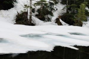 flood insurance for melting snow 